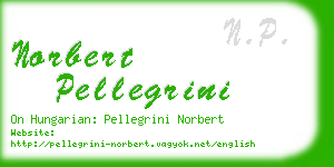 norbert pellegrini business card